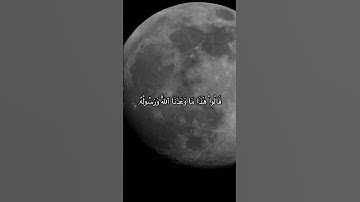 #القارئ بدر التركي
