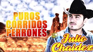 Julio Chaidez Mix Corridos Perrones Con Banda y Norteño