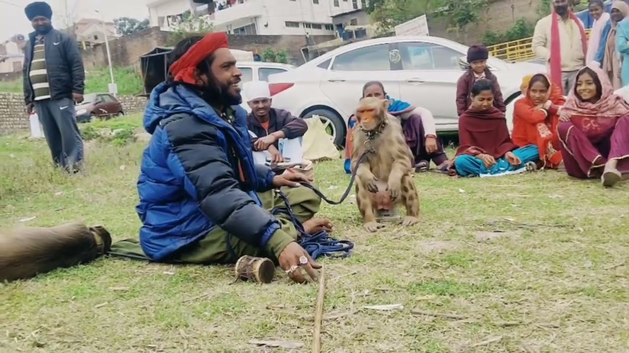 सोनू मदारी रामू बंदर की 20 साल की दोस्ती ❤️🙏🙏