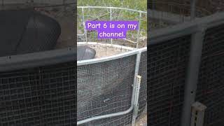 Cistern using old Trampoline! part6