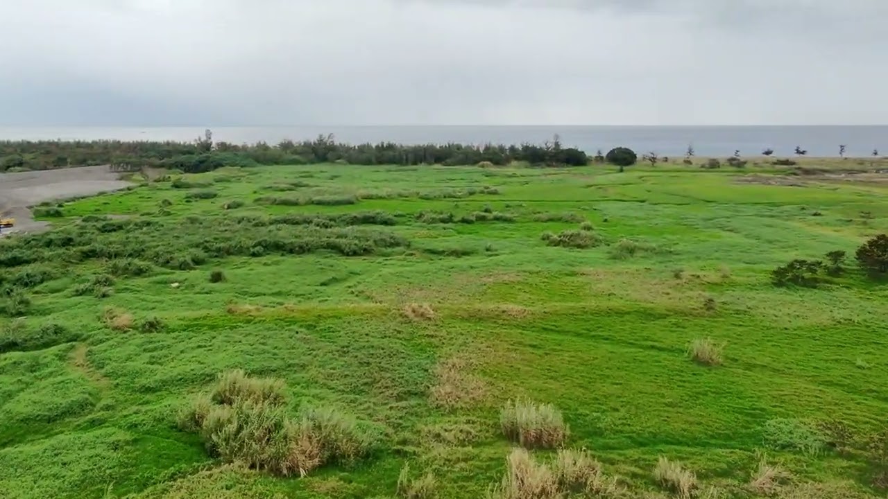 20260223 台東知本溼地