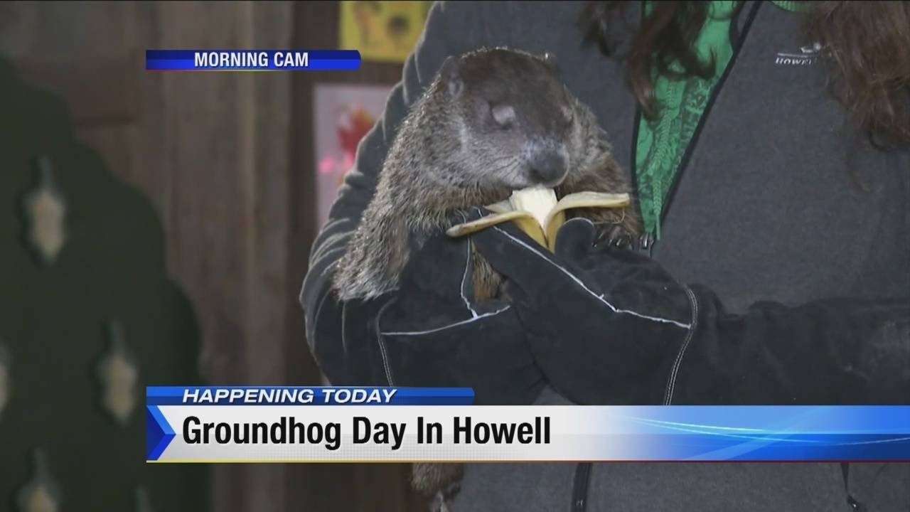 MorningCam: What will Michigan's groundhog 'Woody' predict?
