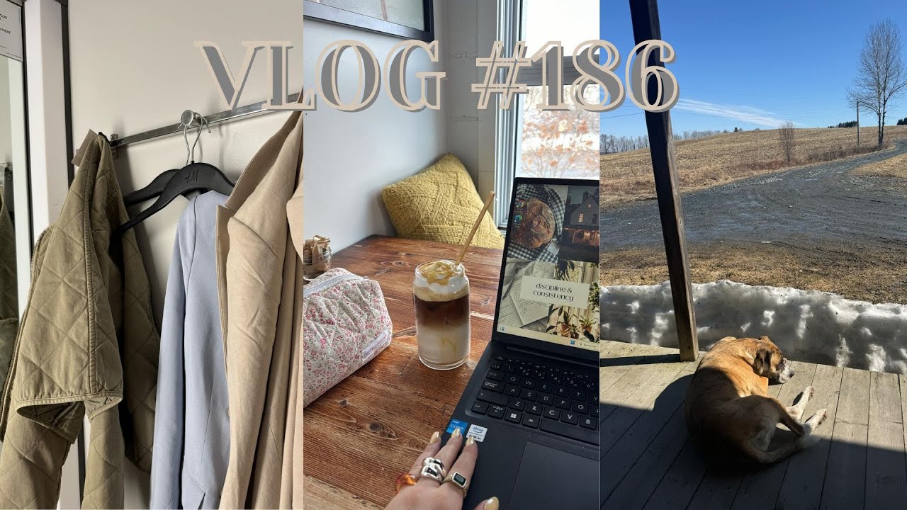 VLOG #186 - Journée shopping, commande AYBL & taste test greens