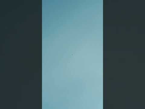 утренний гон