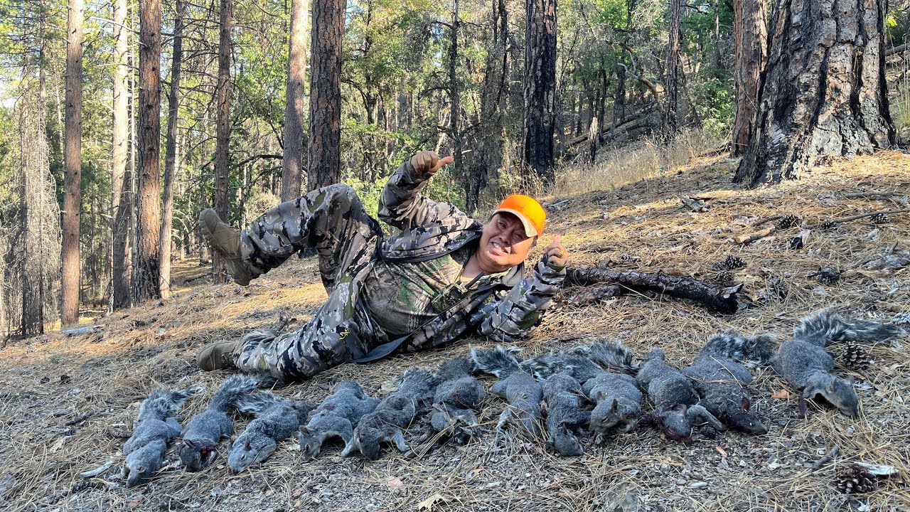 (Limit out) Hmong squirrel hunting b zone - YouTube