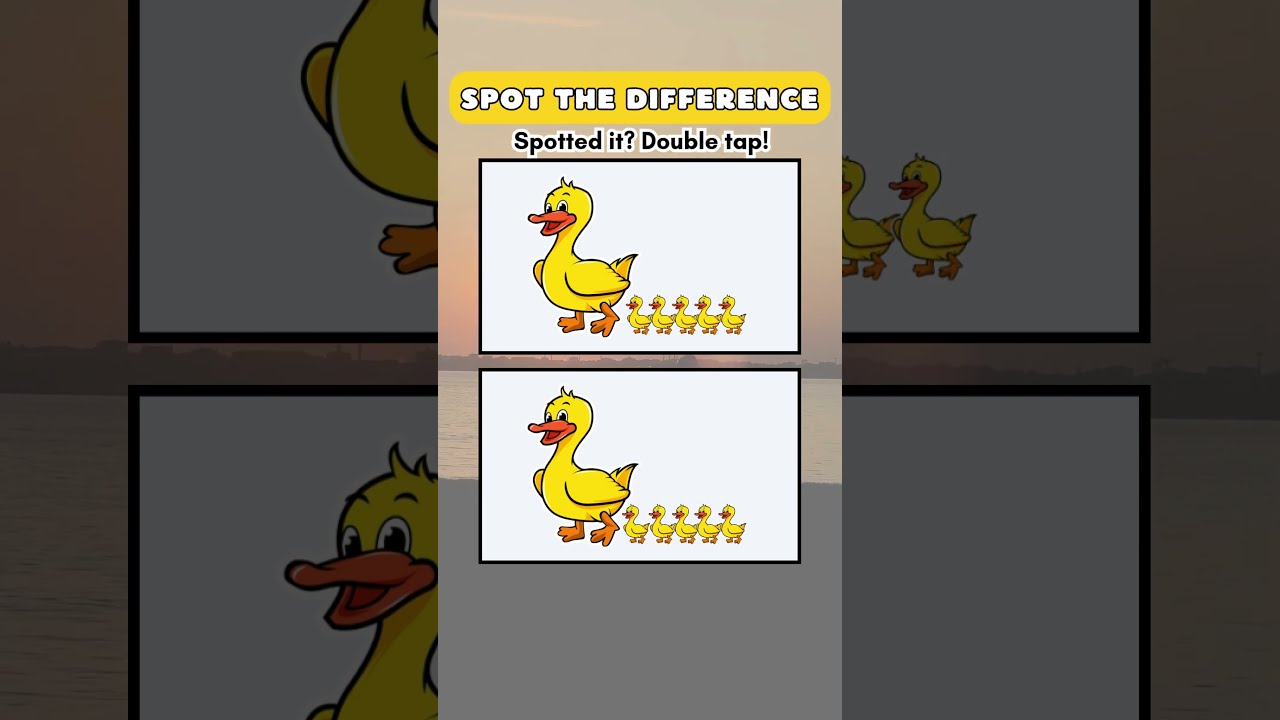 Quack Can You Spot The Difference Mama Duck Babies Challenge 