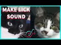 CATS REACTION TO THE MAKING SOUND OF LICKING WHEN THEY LICK THEMSELVES COMPILATION