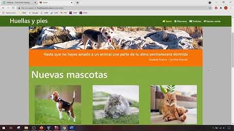 Presentación proyecto final DAW