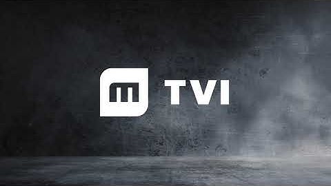 TVI GMS 400 Portioning System - 3D Forming Principle