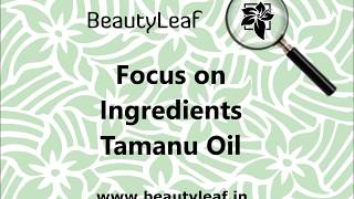 Tamanu Oil aka Beauty Leaf oil