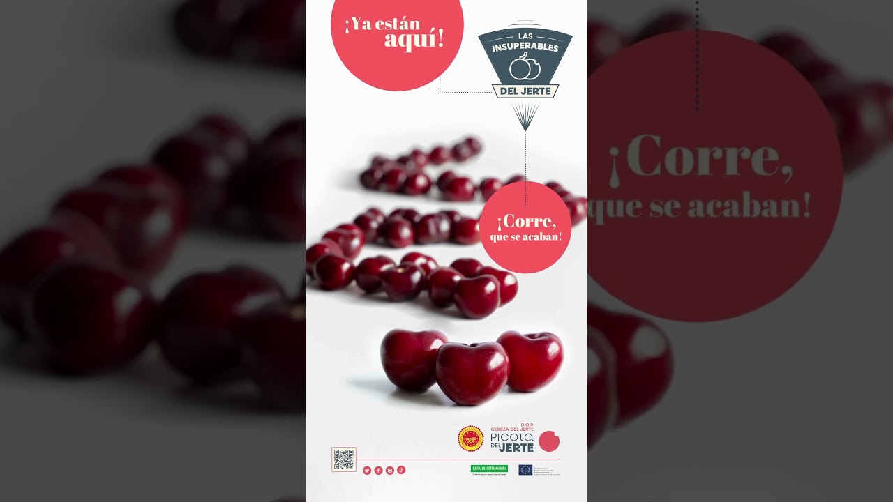 ¿Sabes cuándo es temporada de picotas del Jerte?