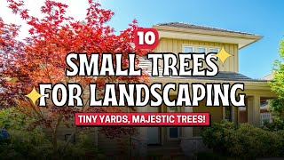 Tiny Yards, Majestic Trees: 10 Small Trees for Landscaping