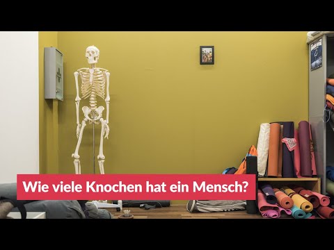 Video: Wie Viele Knochen Hat Eine Person? - Alternative Ansicht