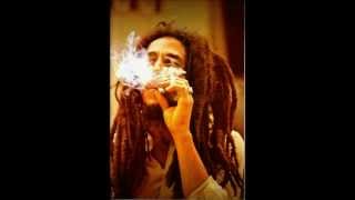 Bob Marley   No More Trouble (with Erykah Badu)