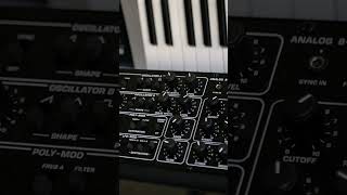 Behringer Pro-800 – Arp Exploring [Analog Sequences Demo] #shorts