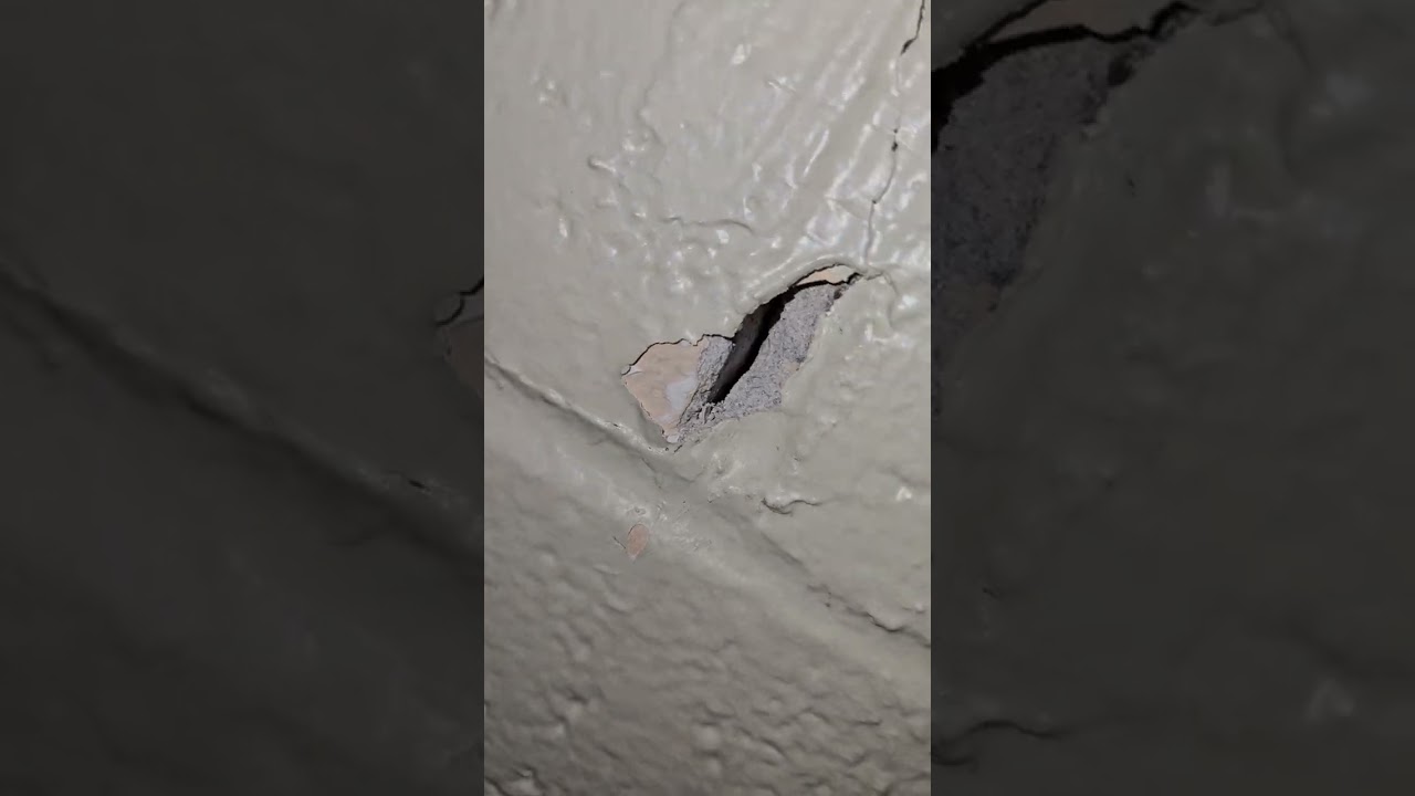 Moving out of the Ruth house