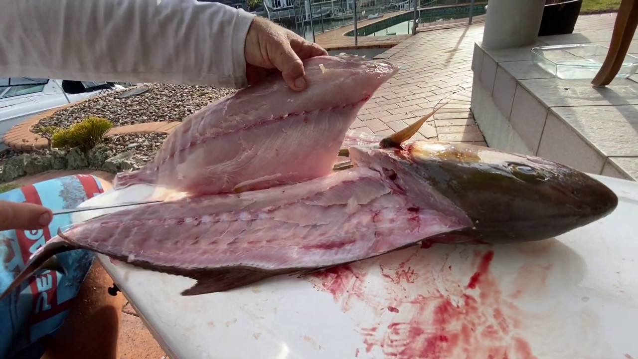 How to Fillet, Skin, and Bone an Amberjack 