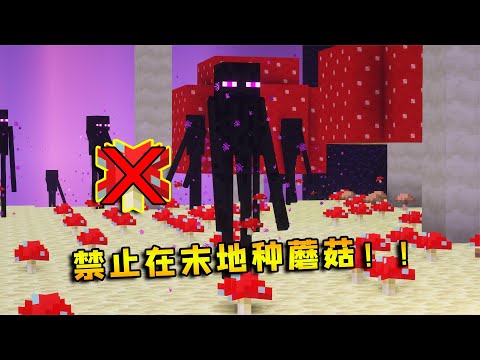 我的世界：千万别在末地种蘑菇，电脑直接崩溃！