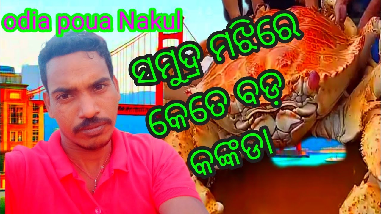 ସମୁଦ୍ର ମଝିରେ କେତେ ବଡ଼ କଙ୍କଡା 😭😭😭।।odia vlog।।deep sea fishing ।।# ...