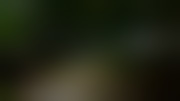 #سورة الفاتحة #عبدالرحمن_مسعد #قرآن #quran #Qur'an #qurantilawat #راحة_نفسية