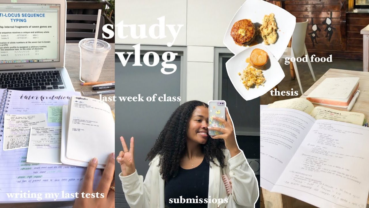 STUDY VLOG  writing my last tests, working on my thesis, a lot of