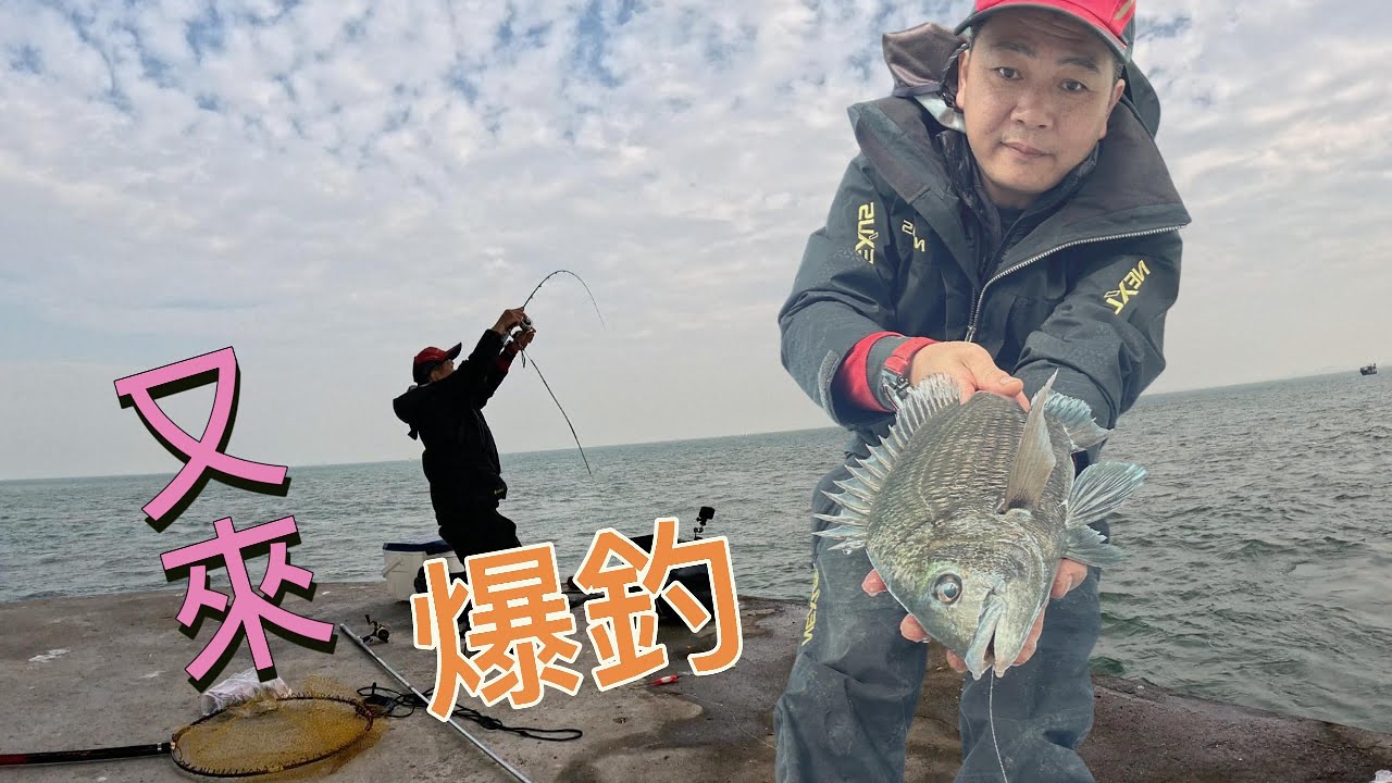 《又來~爆釣》 臘魚季節到來, 資源豐富 ..Go Go go睇吓今次釣到乜。