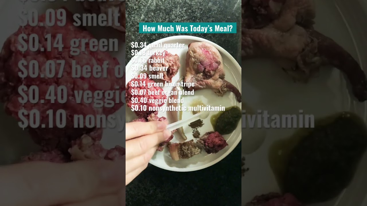 how much does it cost to feed my dog raw? 🐇  