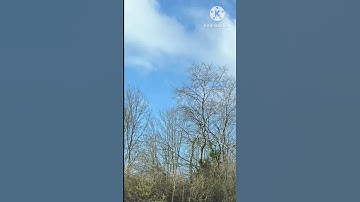 وجاءت سكرةُ الموت 🌸أيات خاشعة من سورة  ق 🌸القارئ الشاب حمزة بو ديب