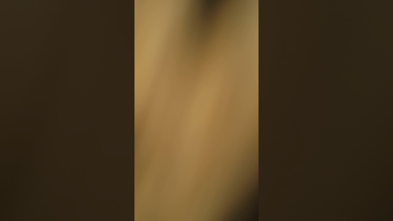 Good Morning From Shrekky The Leopard At Cheetah Experience!