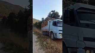 Sen Nerdesin Sen Nerdeydin