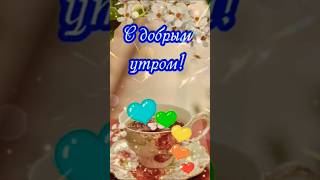 С добрым утром и хорошим днём 🌞 #shorts