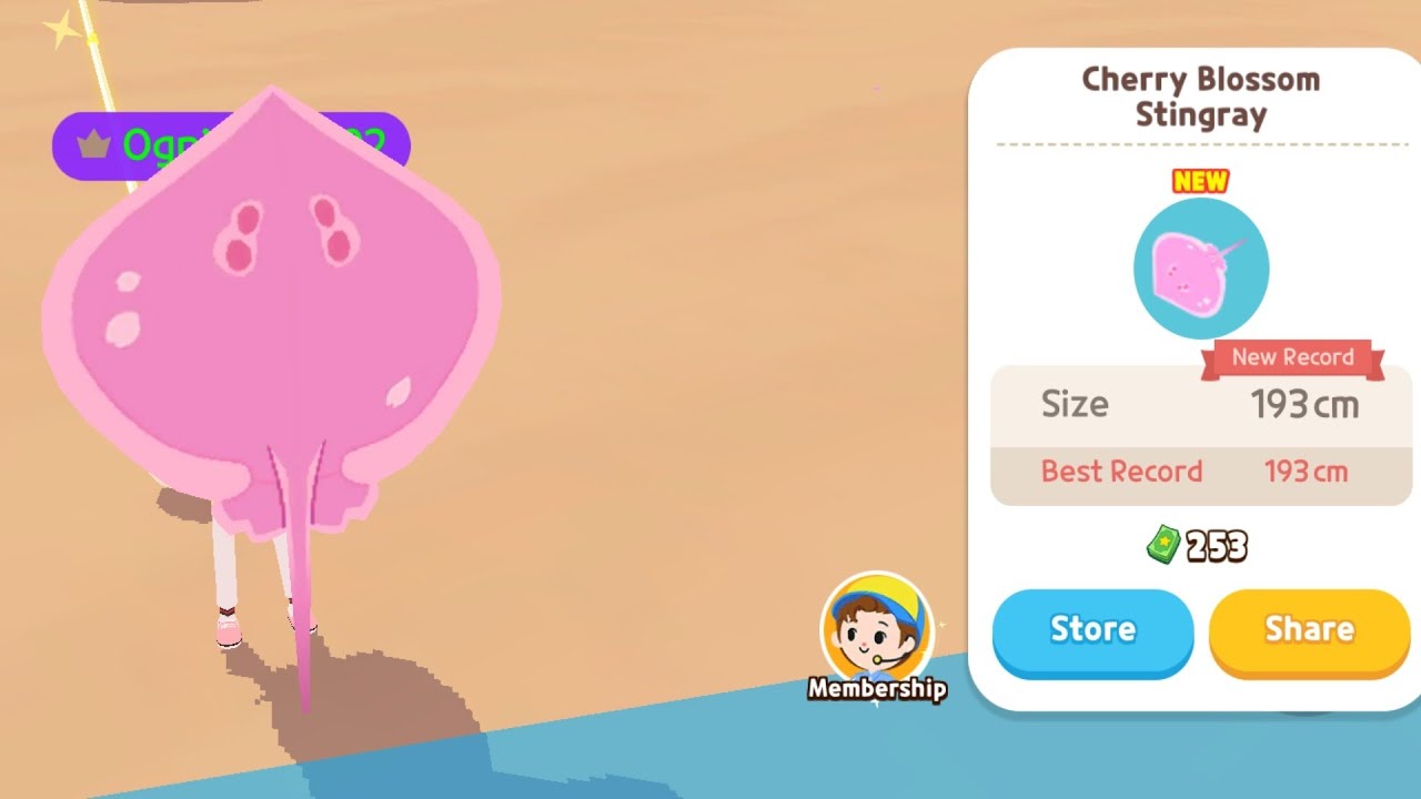 Play Together Fish: Cherry Blossom Stingray