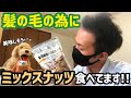 【EP63】髪の毛の為にミックスナッツ食べてます！