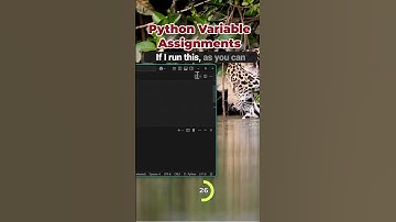 Python Variable Assignments