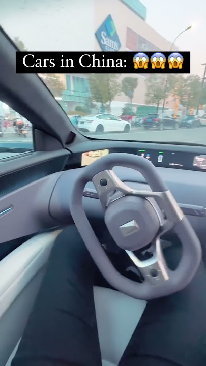 Tesla VS Chinese EV