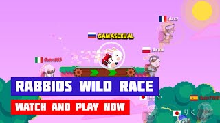 Rabbids Wild Race · Game · Gameplay