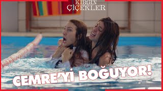 Kırgın Çiçekler Özel Kısa Bölümler | 177