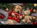 12 Hours Dog Anxiety Relief Music 🐕 Calm Nervous Dogs Instantly | No Ads