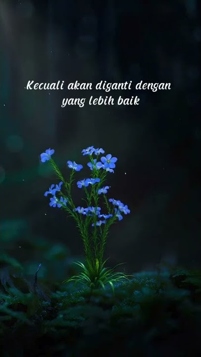 Takdir Allah tidak pernah salah || Takdir Allah sempurna || story wa 30 detik #shorts
