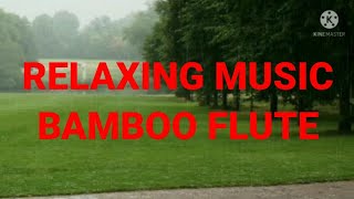 RELAKSASI MUSIK SULING BAMBU | SUARA BURUNG & HUJAN