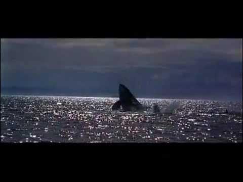 Free Willy Opening Credits