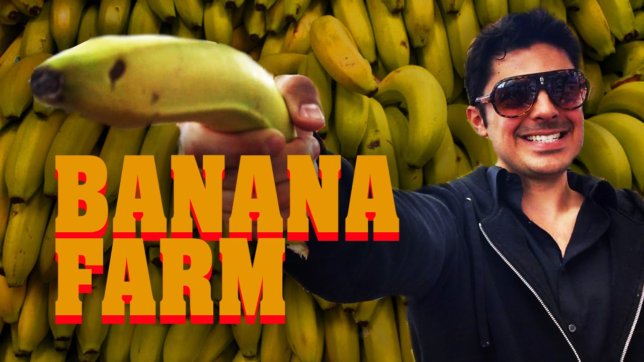 Where the Bananas Come From. (Tully, QLD, Australia) YouTube