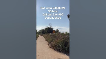 Hoàn cảnh khó khăn Anh Phú buộc phải bán đất vườn 2.800m2+300mtc ở BRVT giá ngộp#shorts