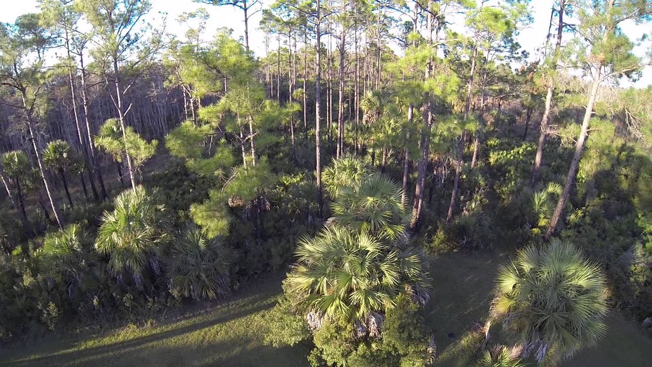 bear island 3 YouTube