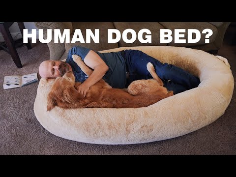 Plufl Review: Shark Tank's 400 Human Dog Bed