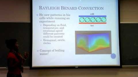 Pattern Formation in Nature - Monique Small