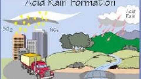 Acid Deposition and Synthetic Compounds