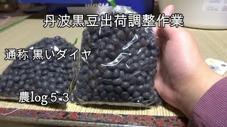 丹波黒豆『黒いダイヤ』出荷調整作業 農log53