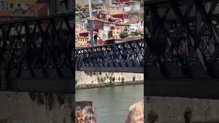 Street Artist's Daring Leap from a Bridge into Water
