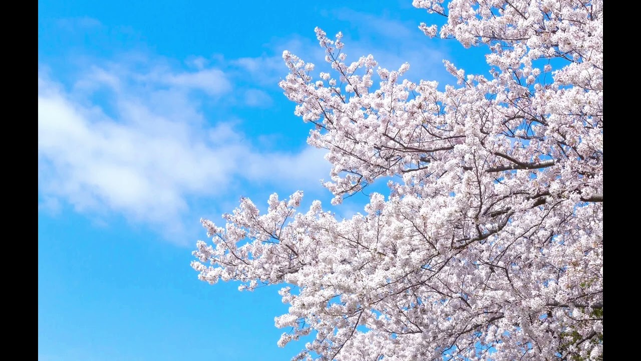 【フルート】Flower Garden/武藤大将